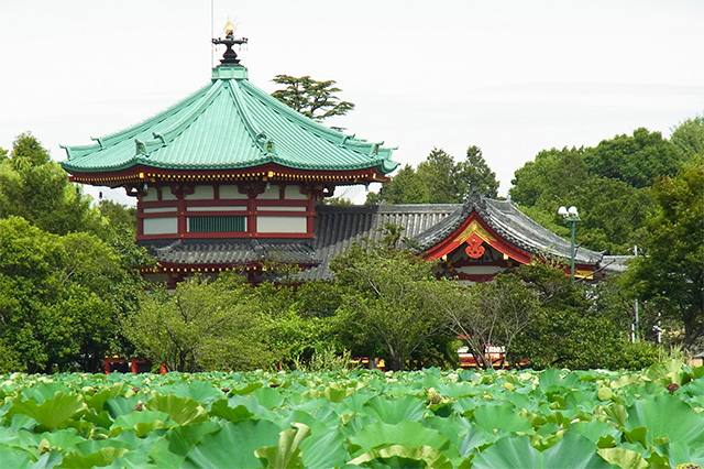 上野