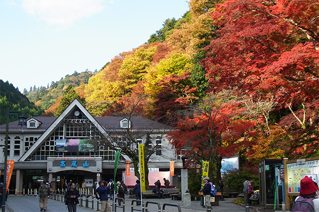 高尾山